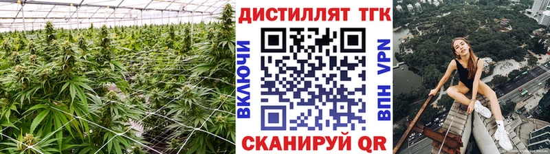 Дистиллят ТГК Wax Череповец